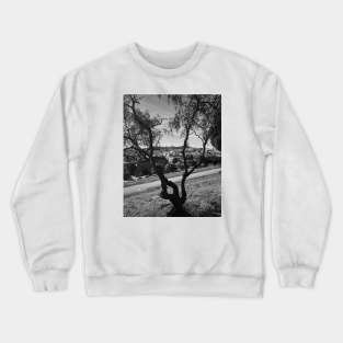 Among the branches Crewneck Sweatshirt